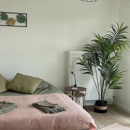 Studio T A 5Mn Euro Airport Avec Terrasse Сен-Луї Екстер'єр фото