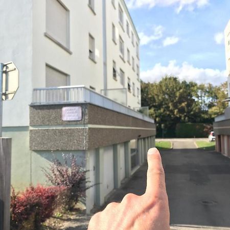 Studio T A 5Mn Euro Airport Avec Terrasse Сен-Луї Екстер'єр фото