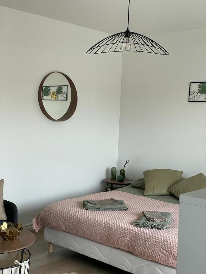 Studio T A 5Mn Euro Airport Avec Terrasse Сен-Луї Екстер'єр фото