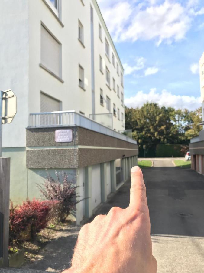 Studio T A 5Mn Euro Airport Avec Terrasse Сен-Луї Екстер'єр фото